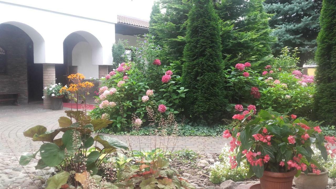 بوزنان Dworek Staropolski المظهر الخارجي الصورة